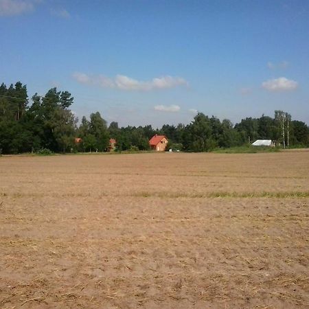 Holzmichel _ Pinocchio Appartement Lärz Buitenkant foto
