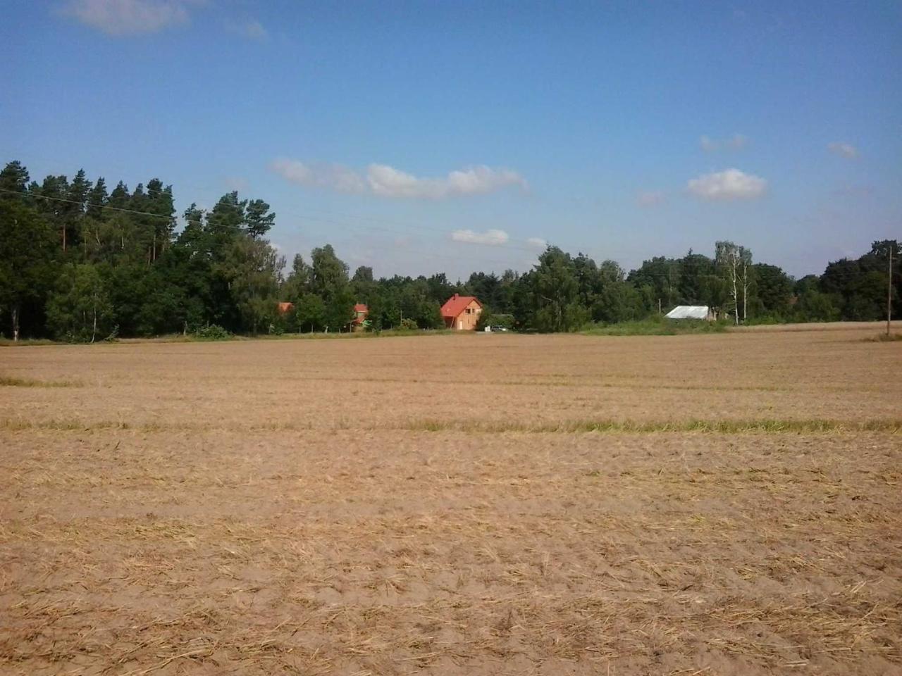 Holzmichel _ Pinocchio Appartement Lärz Buitenkant foto